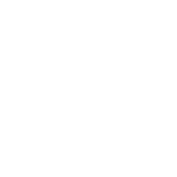 Damaleonic Catering